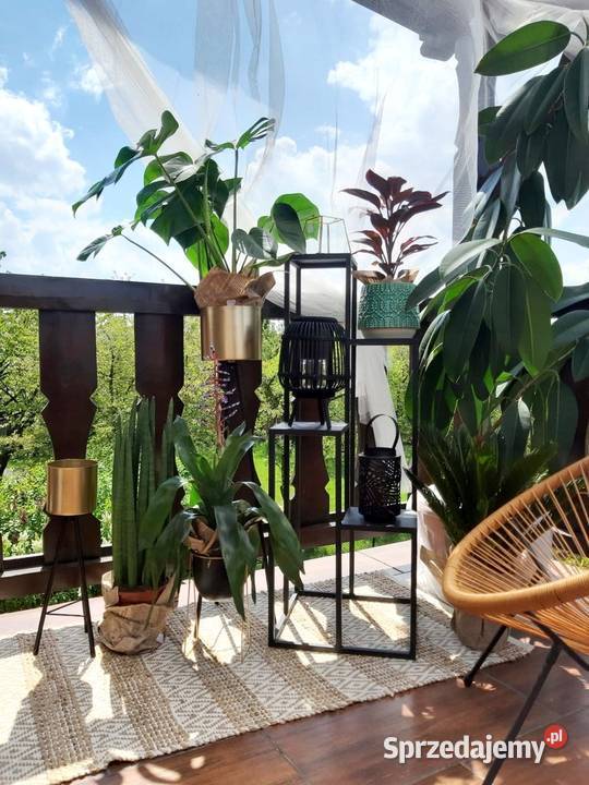 Kwietnik Metalowy Stojak na cztery kwiaty 112 Sobienie-Jeziory sprzedam