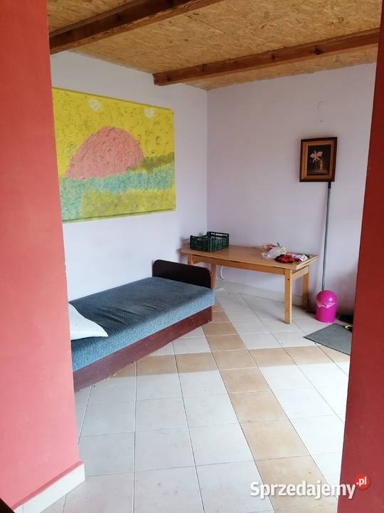 Działka ROD rekreacyjno warzywna Koszalin