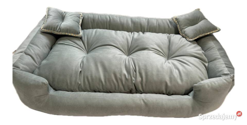 Legowiska psów kotów wielkopolskie Wągrowiec