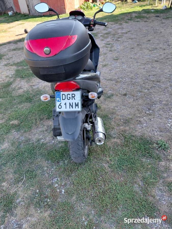 Skuter rex 125 Rok produkcji 2011 Skoroszyce