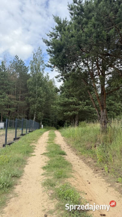 Działka pod zabudowę jednorodzinną w okolicy Nowa Wieś Ełcka