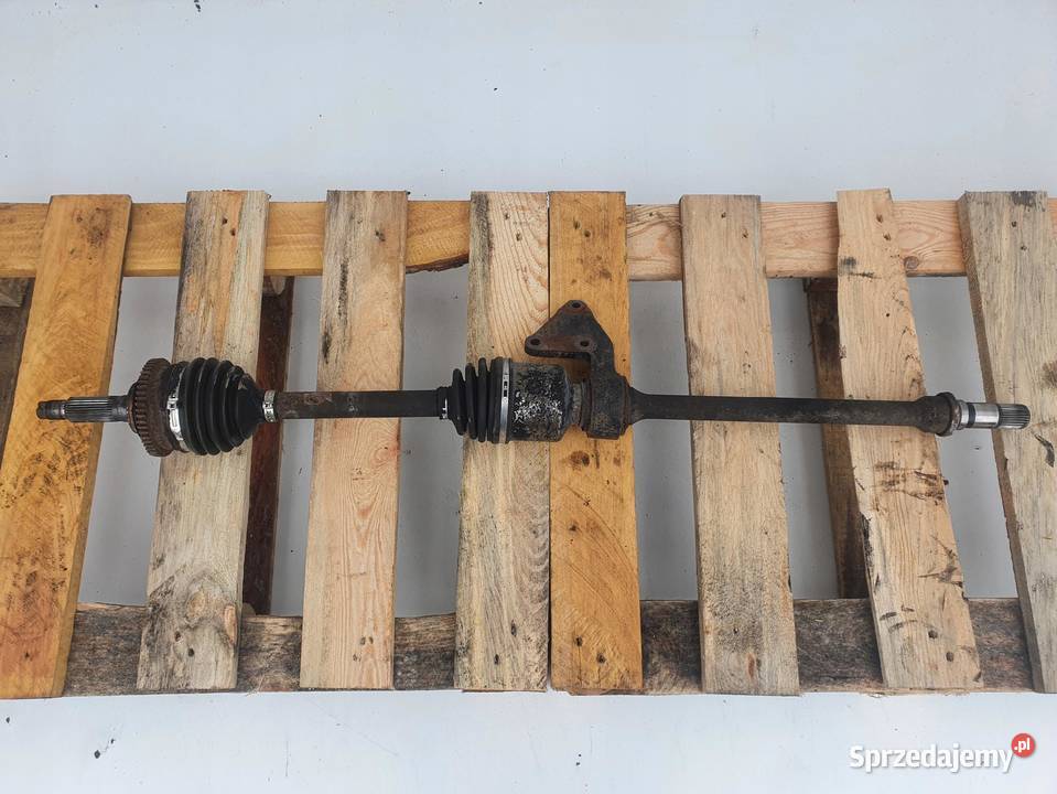 Kia Carnival I MAGLOWNICA przekładnia EUROPA Rudka