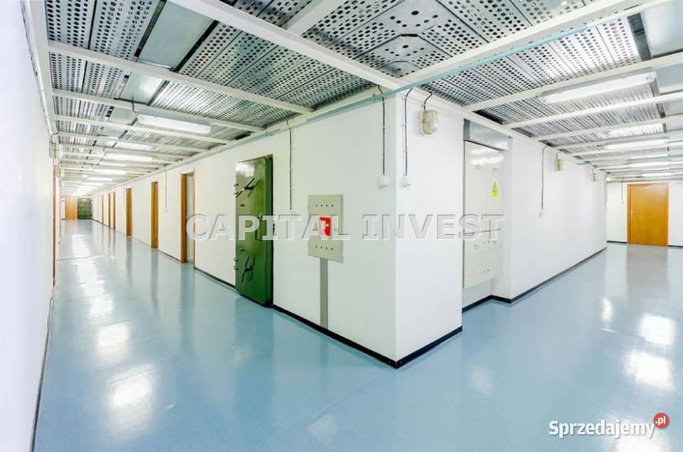 sprzedaży lokalu 19513m2 Serock