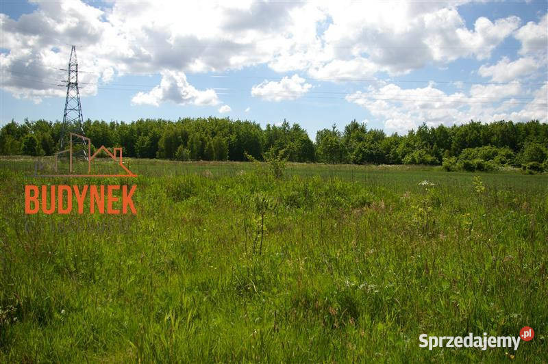 Działka siedliskowa Jeżyce