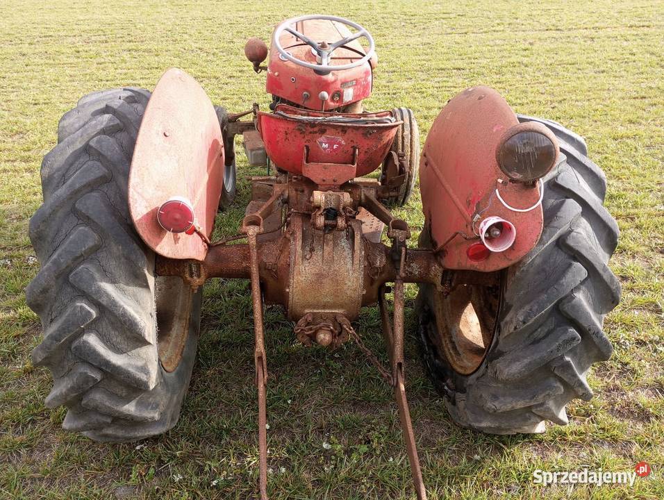 Ciągnik Massey ferguson Buk sprzedam