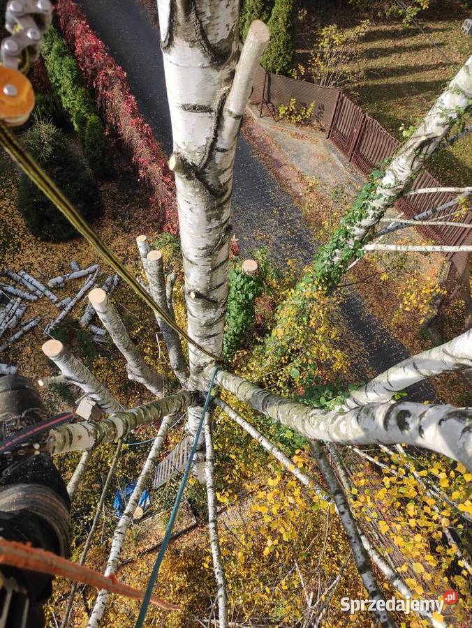 Rębak spalinowy Alpinistyczne wycinki drzew