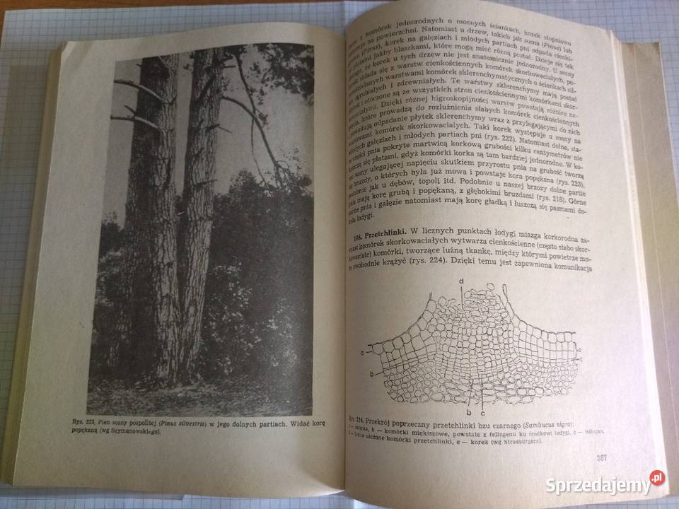 Anatomia roślin Malinowski Osięciny