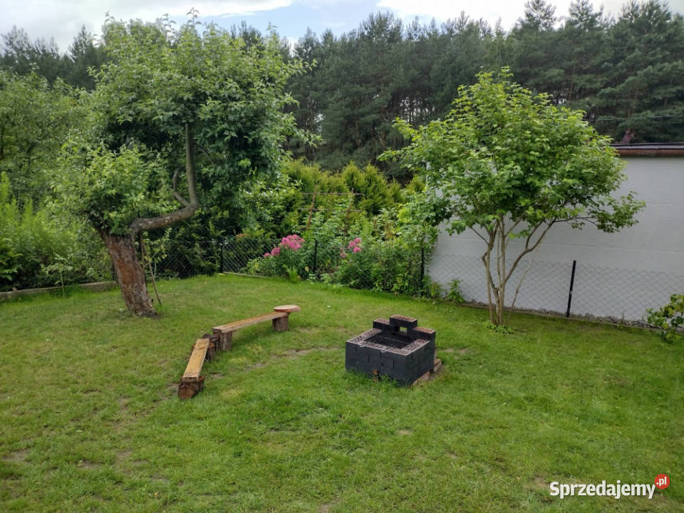 Działka ROD z domkiem 2026 Aleksandrów Kujawski kujawsko-pomorskie