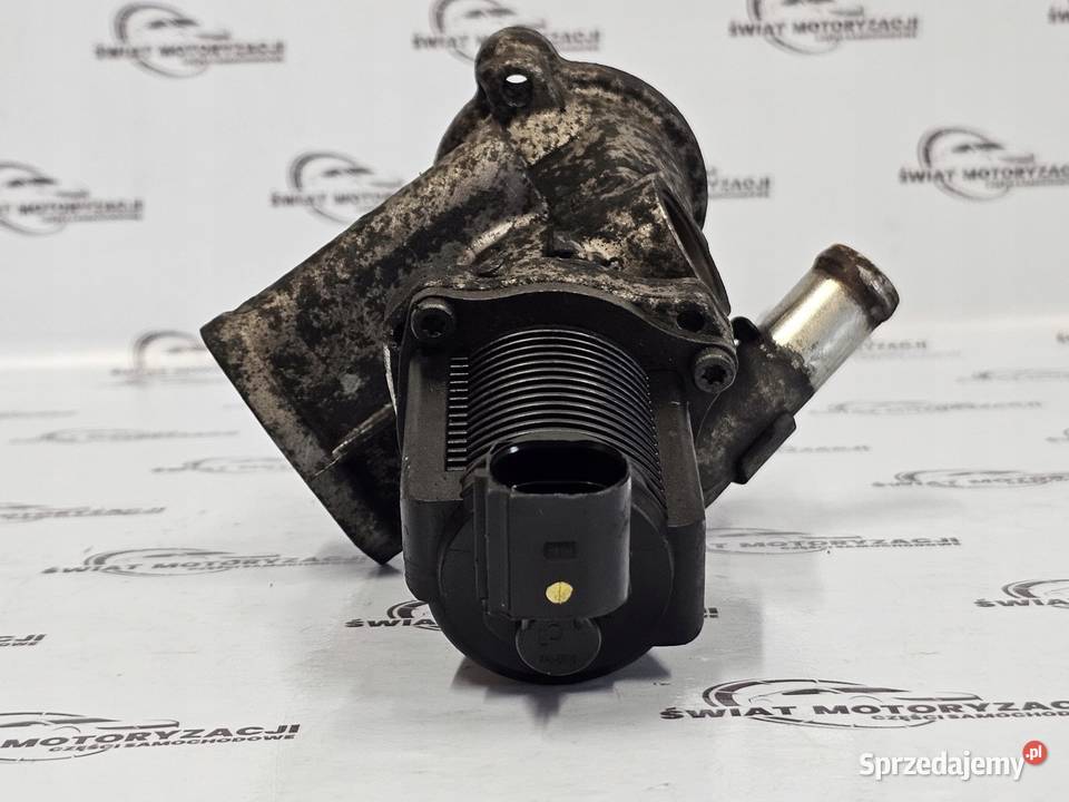 OPEL FIAT 13 CDTI 263A2000 zawór EGR 53446103