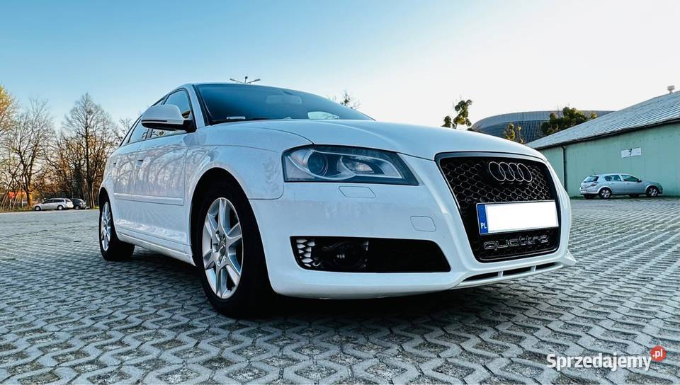 Audi A3 8P 20 TDI 170 QUATTRO Gliwice