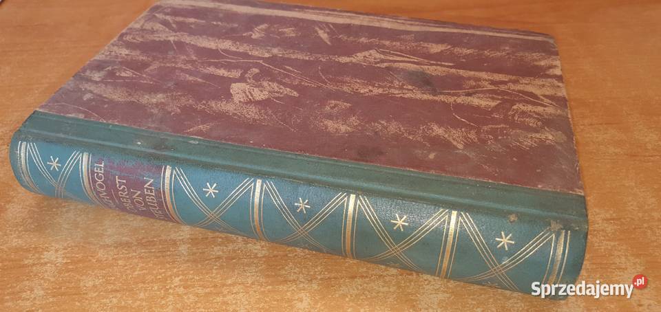 AE BRACHVOGEL OBERST VON STEUBEN Bytom