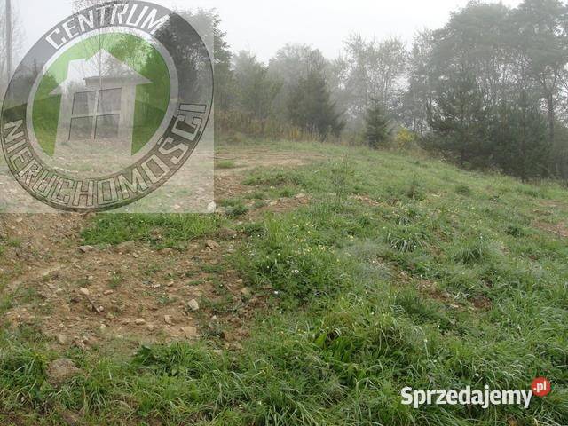 Działkę sprzedam 2400m2 Nowy Sącz gaz