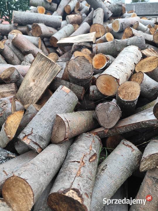 Drewno opałowe osika brzoza olcha inne liściaste Radom sprzedam