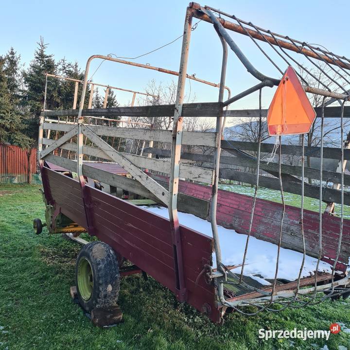 Samozbierająca małopolskie Trzciana