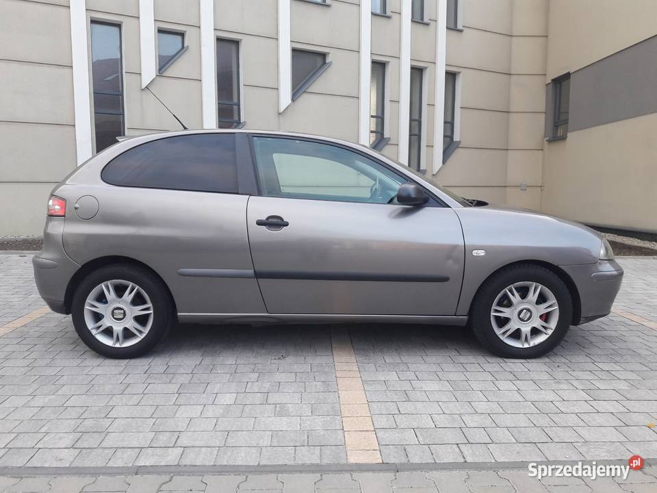 SEAT IBIZA III 19TDI 130 Car Audio Sony Magnat śląskie Gliwice