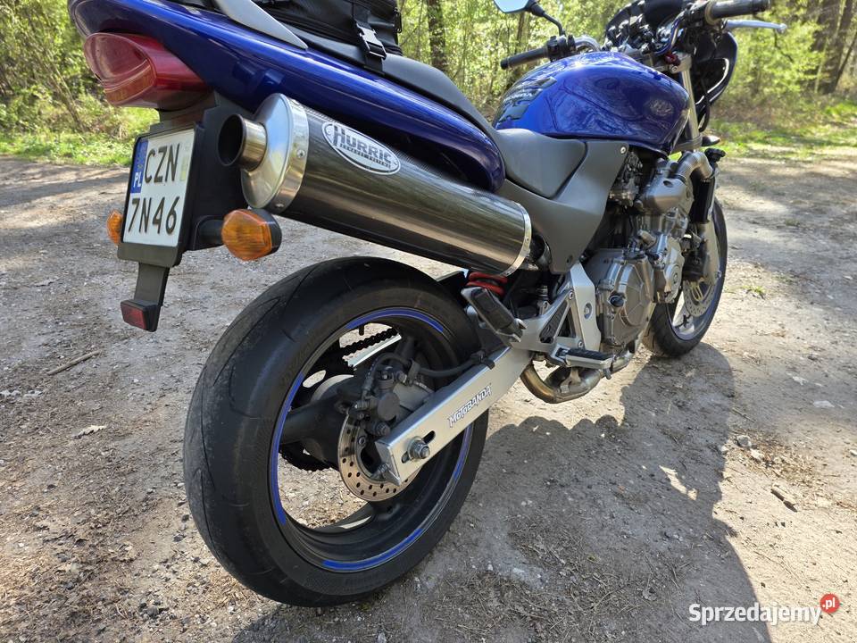 Honda hornet 600 a2 35kw Żnin