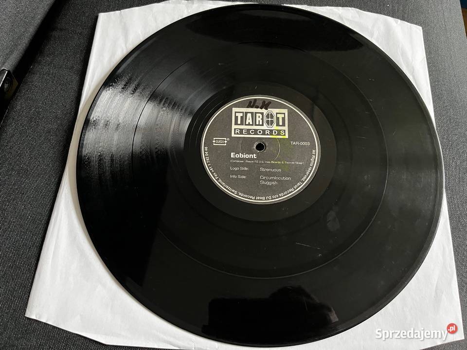 Eobiont Strenuous Techno płyta winylowa Błażejowice