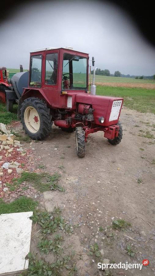 władimirec t25 Bolesławiec