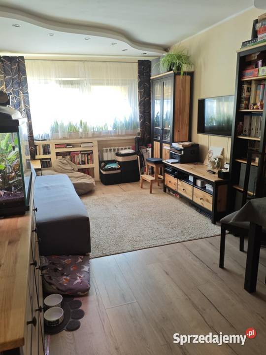 M3Teofilów pełen rozkład dobra 3 piętra i więcej Łódź