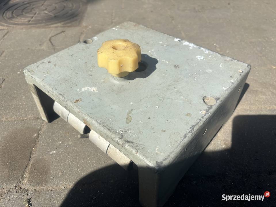 Heblarka ukraińska Wołomin