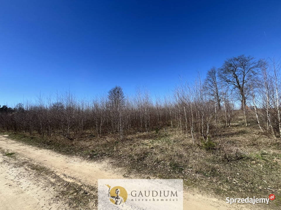 Działka pod budowę domu I 3104 m2 I gm Lubichowo Lipinki Królewskie