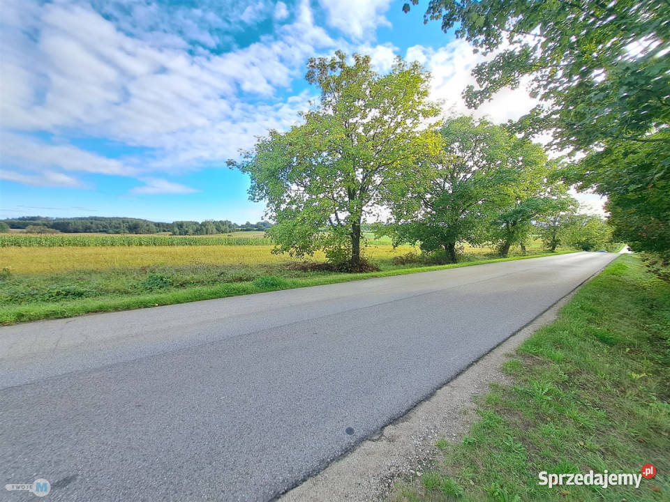 Ogłoszenie działka Pierzchnica 6600m2 46m Sprzedaż