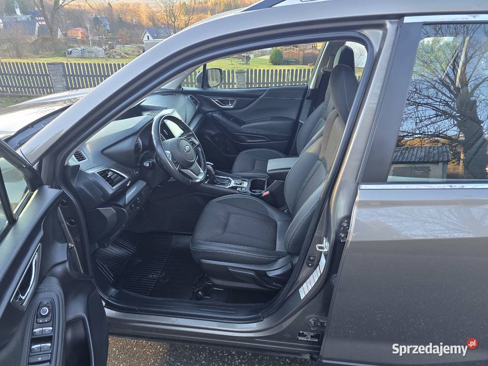 Forester 20 Eboxer czujnik zmierzchu Kowary