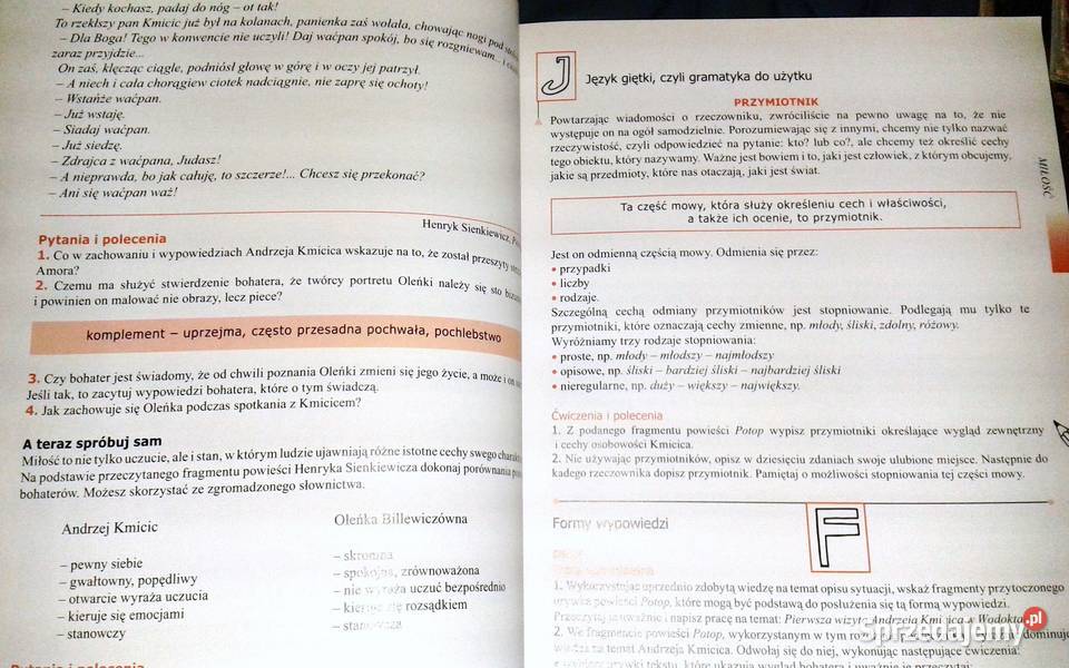 Czas na polski Podręcznik gimnazjalistów kl 1 Chełm
