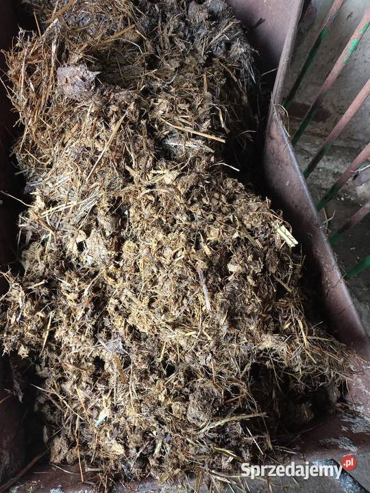 Sprzedam Obornik Konski Grodzisk Mazowiecki