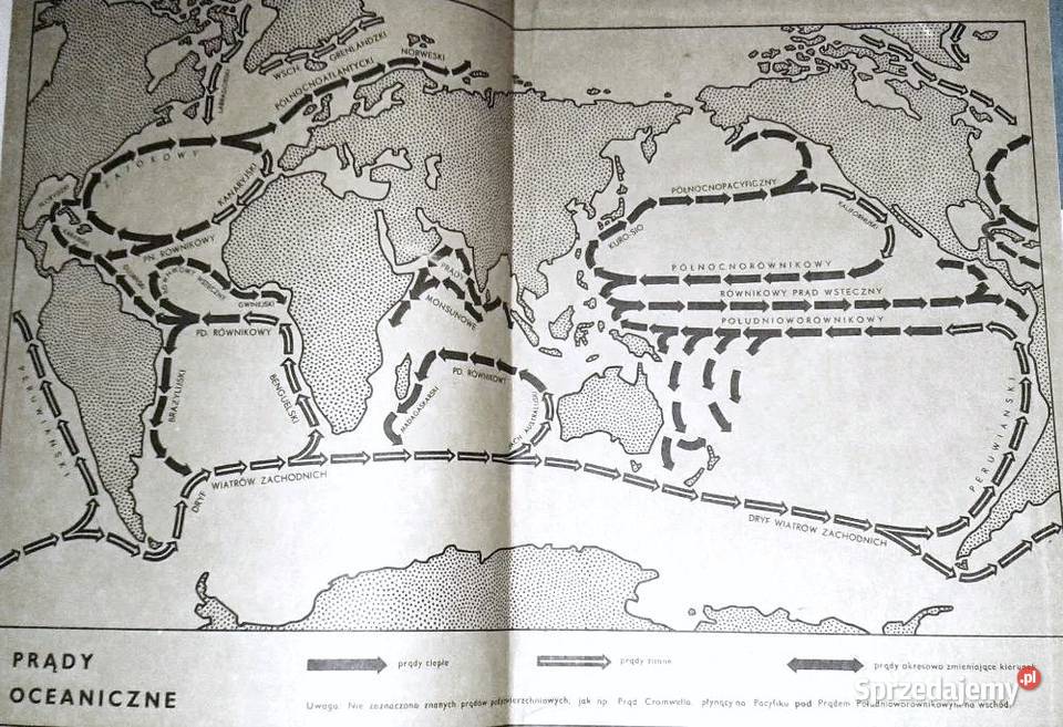 Zwierzęta i oceany Tomasz Umiński Chełm