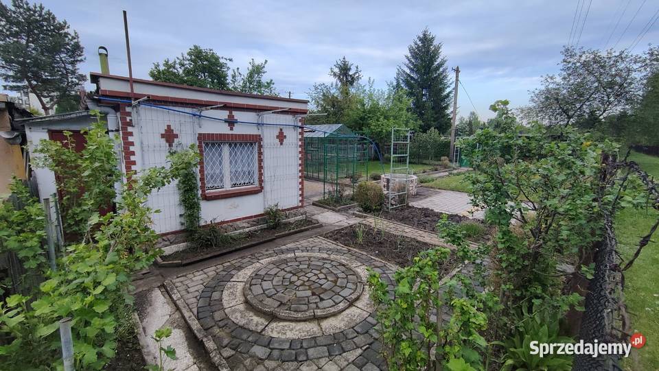 Ogródek działkowy PZD ROD Stokrotka Nowy Bytom 384zł/m2 śląskie Ruda Śląska sprzedam