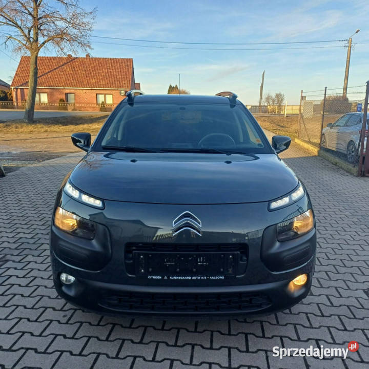 Citroen C4 Cactus Automat I 2014 Suchorzew