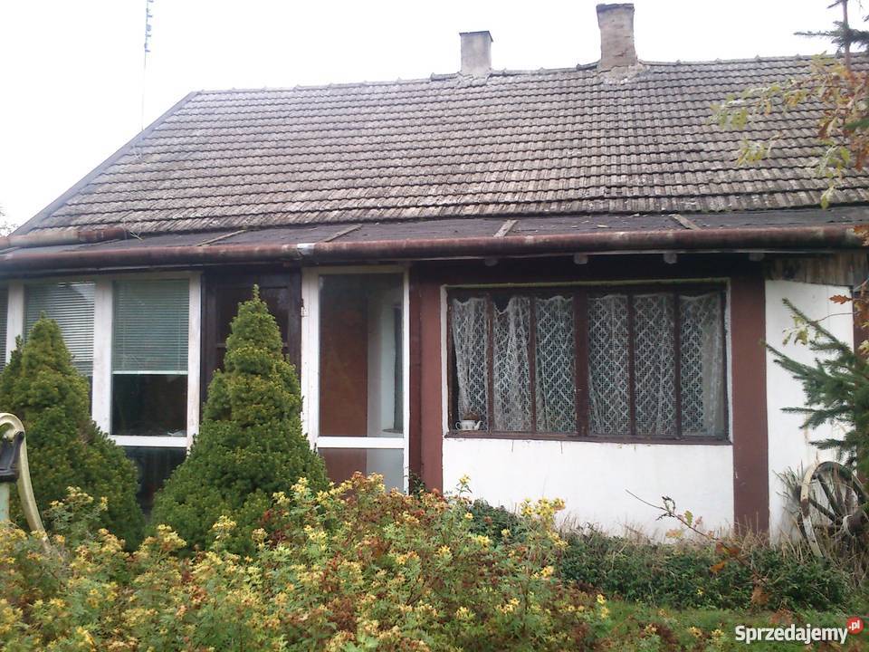 sprzedam dom Głuchów sprzedam
