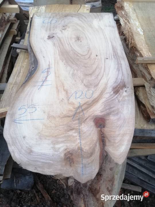 Monolit 120x80 wiąz dąb jesion klon topola mazowieckie
