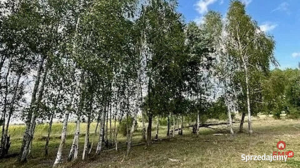 Grunt Rafałówka 1000m2