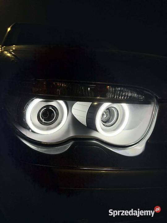 BMW e65 740d 2004 biturbo biled premium angel diesel Gdynia sprzedam