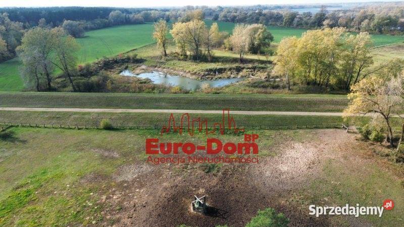 Renomowana stajnia na sprzedaż Pruszków sprzedam
