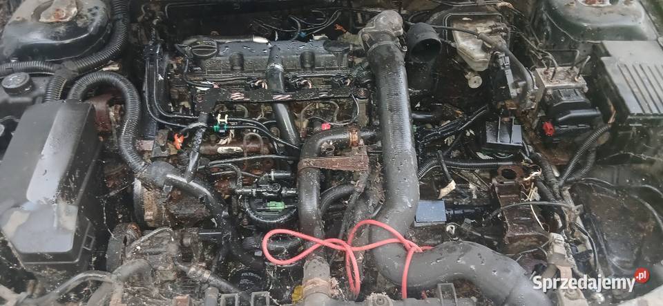 Części Peugeot 406 20HDI osobowe Zabrze sprzedam