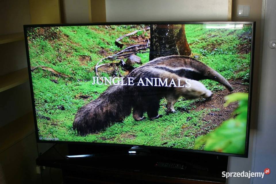 Telewizor Samsung 50 mazowieckie Warszawa