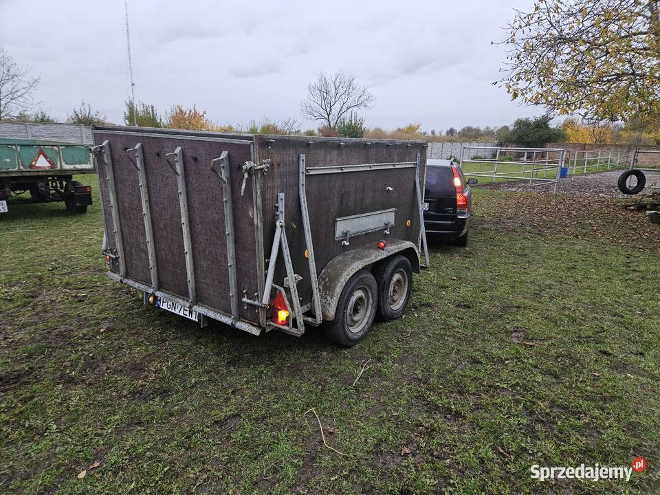 SPRZEDAM koniowoza Gniezno