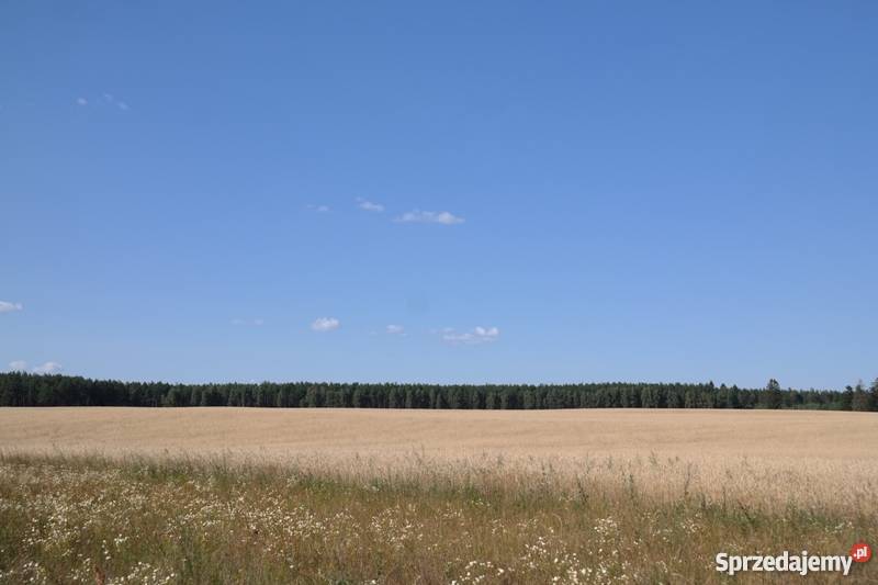działkę rolną 51 ha Koczała