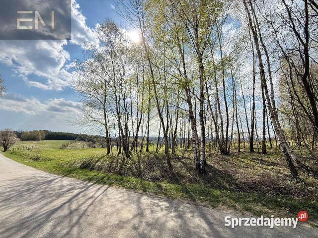 Grunt 4700m2 Gwoźnica Górna