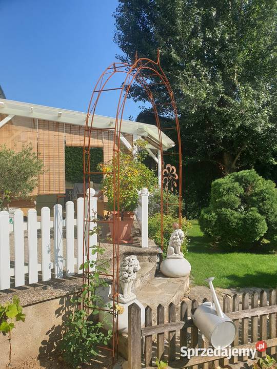 Pergola Ogrodowa Łuk Różany Łuk Bluszcz Róże Wodzisław Śląski