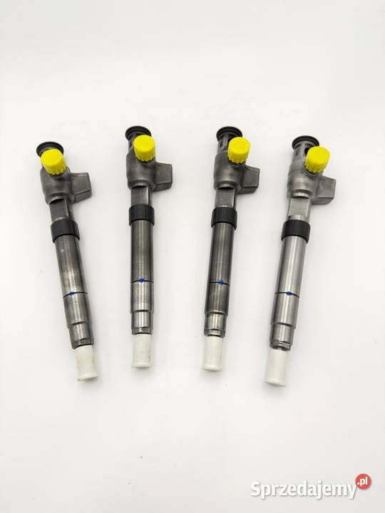 Wtryskiwacz Regenerowany Wtrysk DELPHI 28657626 Słubice sprzedam