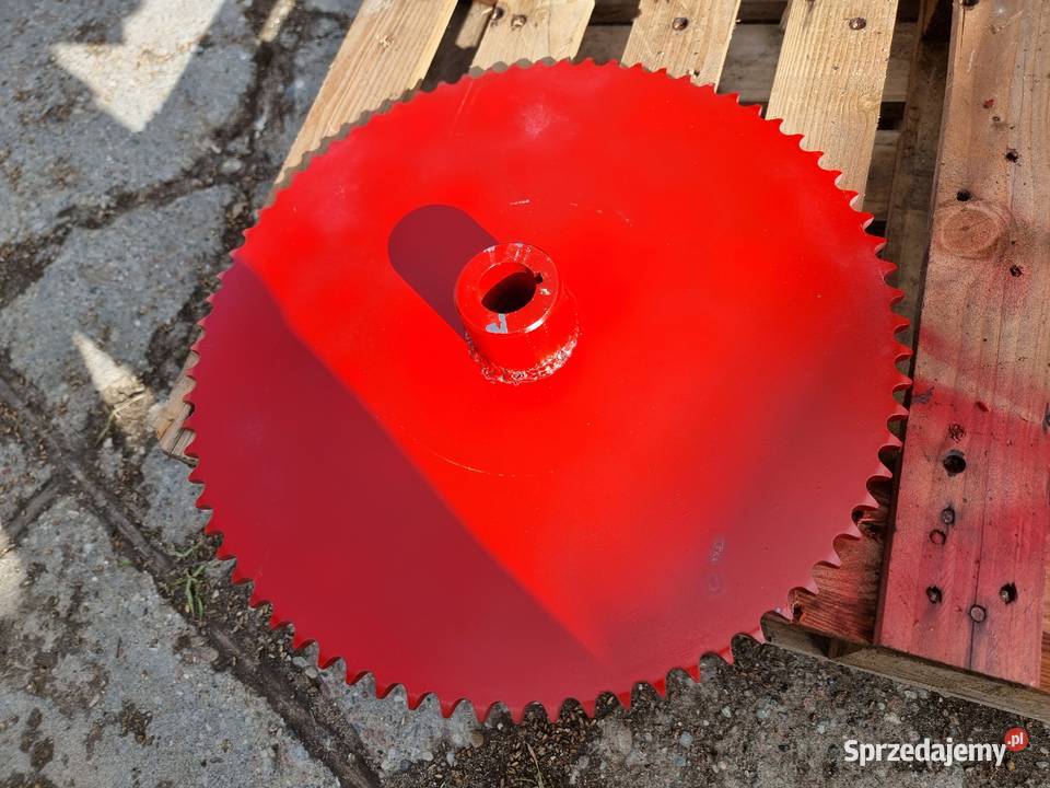 koło łańcuchowe zębate z75 suszarnia Pedrotti Brzyków