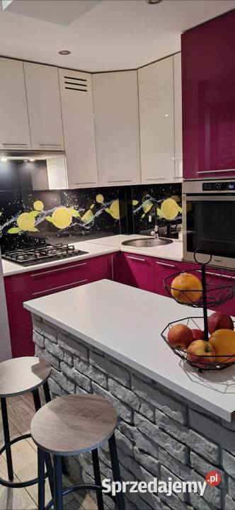 Dwupokojowe mieszkanie z wyposazeniem 41m2 Gliwice