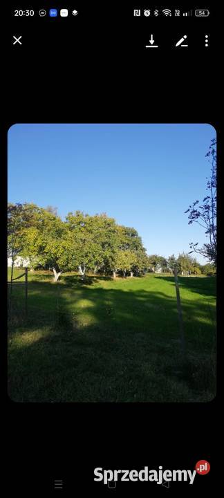 Gospodarstwo Rolne w urokliwym miejscu 13ha woda Jarnatów