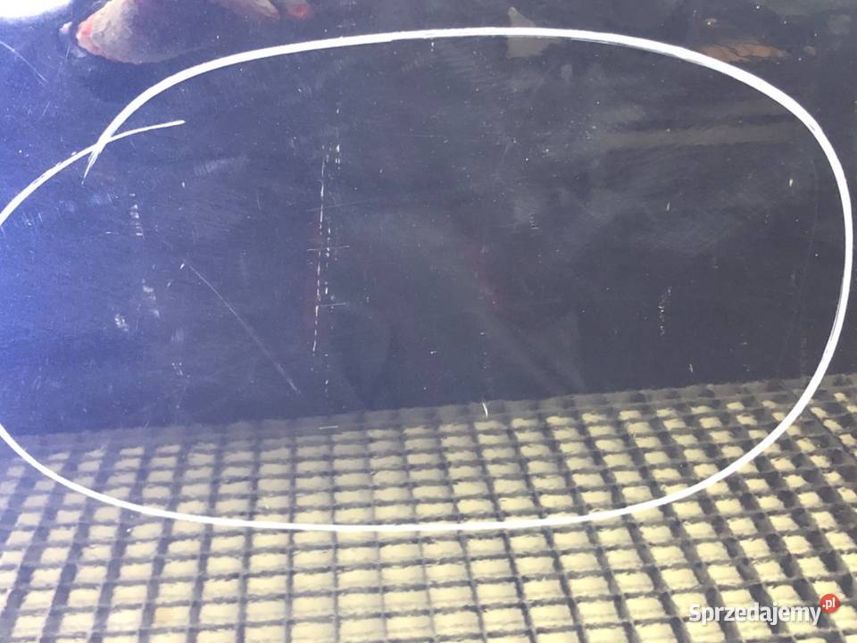 DRZWI PRAWY PRZÓD CITROEN C2 Hatchback 0317