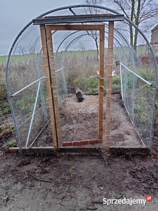 Woliera 3x2 kury kurczaki kaczki króliki