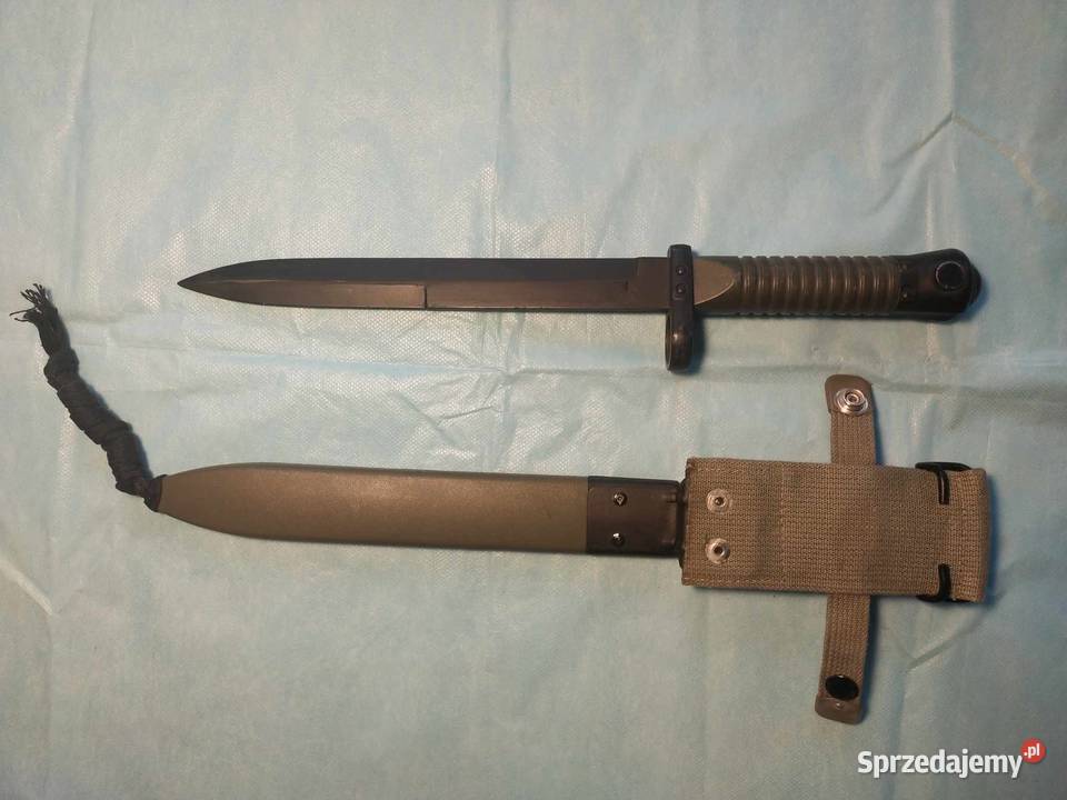 Bagnet hiszpański Łódź sprzedam